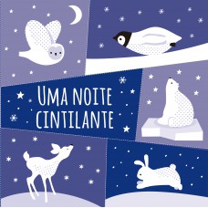 Uma noite cintilante