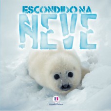 Escondido na neve