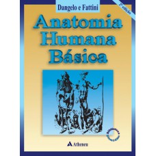 Anatomia humana básica