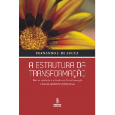 A ESTRUTURA DA TRANSFORMAÇÃO