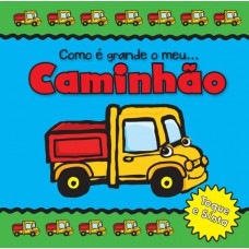 Caminhão: Como é grande o meu