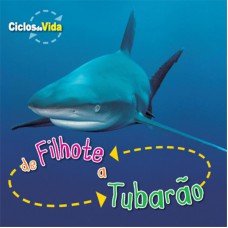 De filhote a tubarão
