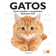 Gatos : Como escolher o companheiro ideal para você