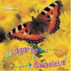 De lagarta a borboleta