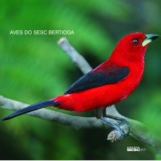 Aves do Sesc Bertioga