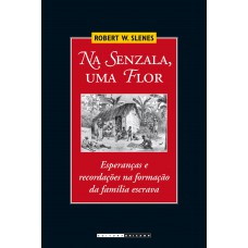 Na senzala, uma flor