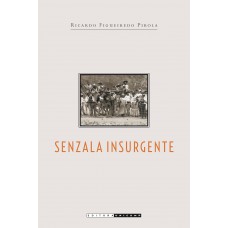 Senzala insurgente