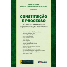 Constituição e processo - uma análise hermenêutica da (re)construção dos códigos