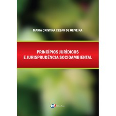 Princípios jurídicos e jurisprudência socioambiental