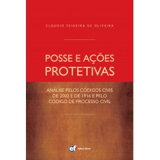 Posse e ações protetivas - análise pelos códigos civis de 2002 e de 1916 e pelo Código de Processo Civil