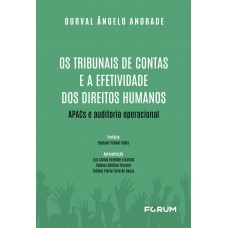 Os Tribunais de Contas e a Efetividade dos Direitos Humanos