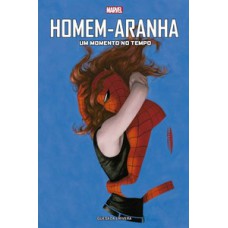 Homem-aranha: um momento no tempo