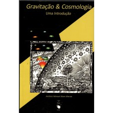 Gravitação e Cosmologia: Uma introdução