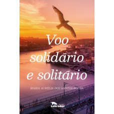 Voo solidário e solitário