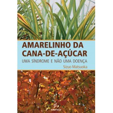 Amarelinho da cana-de-açúcar