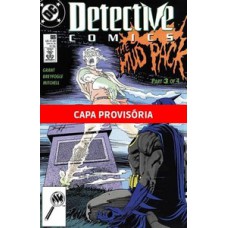 A saga do batman vol.13