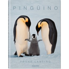 Pingüino