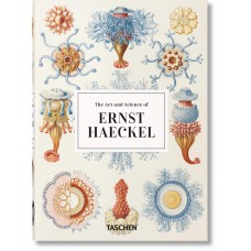 The art and science of Ernst Haeckel