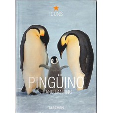 Pinguino