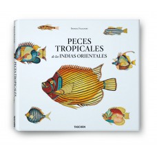 Peixes tropicais das Indias