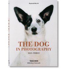 The dog in photography 1839 - today