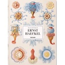 The art and science of Ernst Haeckel