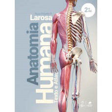 Anatomia Humana