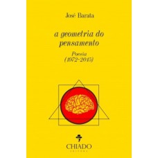 A Geometria do Pensamento