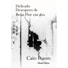 Delicado Desespero de Beija-Flor em Voo