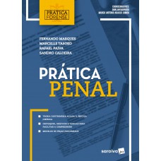 Prática penal