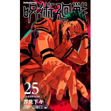 Jujutsu kaisen: batalha de feiticeiros vol. 25