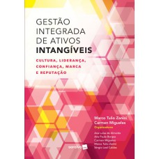 Gestão integrada de ativos intangíveis