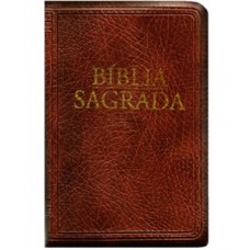 Bíblia Sagrada - Nova tradução na linguagem de hoje - (Média - Zíper marrom)