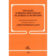 Vocação e missão dos leigos na Igreja e no mundo - 119