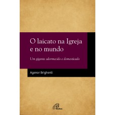 O laicato na Igreja e no mundo