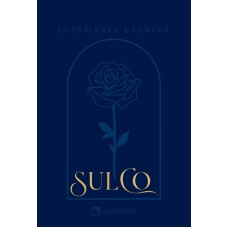 Pocket Sulco - Premium