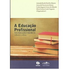 A Educação Profissional na região norte: reflexões e críticas