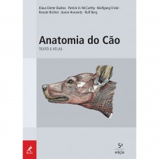 Anatomia do cão