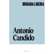 Brigada ligeira