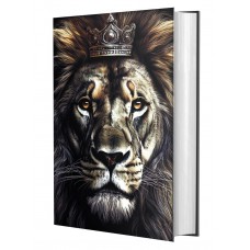 Bíblia Sagrada NVI - LETRA GRANDE