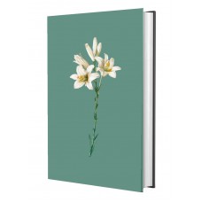 Bíblia Sagrada NVI - Lírios Turquesa