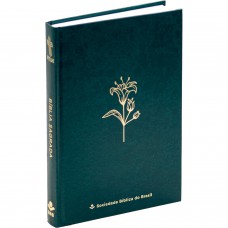 Bíblia NTLH, COLORS CP DURA MARE