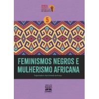 Feminismos negros e mulherismo africana