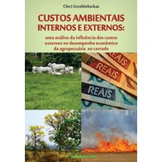 Custos ambientais internos e externos