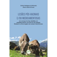 Lesões pós-vacinais e/ ou medicamentosas em carcaças bovinas abatidas em estabelecimentos com serviço de inspeção estadual na microrregião dos lençóis Maranhenses