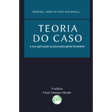 Teoria do caso e sua aplicação ao processo penal brasileiro