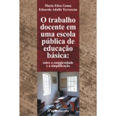 O trabalho docente em uma escola pública de educação básica