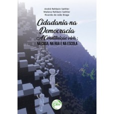 Cidadania na democracia – a constituição viva