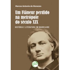 Um flâneur perdido na metrópole do século XIX