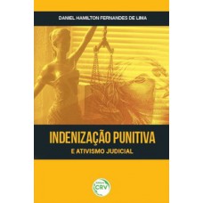 Indenização punitiva e ativismo judicial